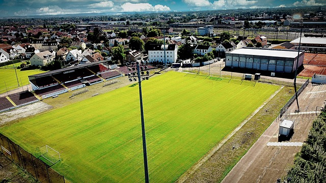 个成功的参 个成功的参